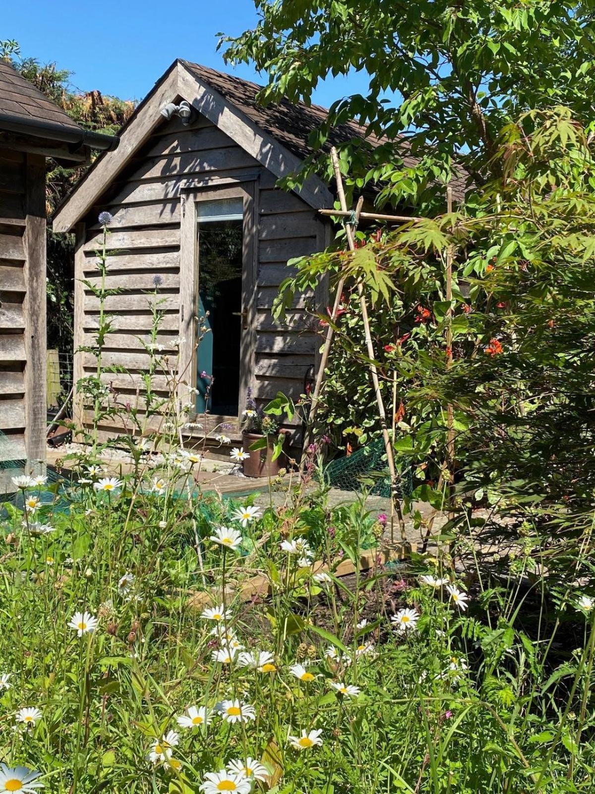 The Tool Shed Nestled In Idyllic Countryside Villa Linchmere Exterior photo