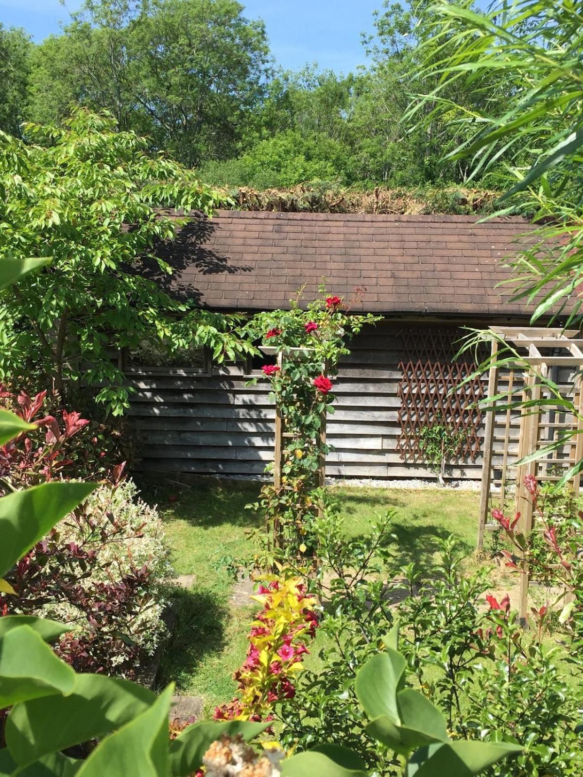 The Tool Shed Nestled In Idyllic Countryside Villa Linchmere Exterior photo